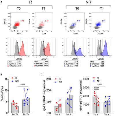 Baricitinib therapy response in rheumatoid arthritis patients associates to STAT1 phosphorylation in monocytes